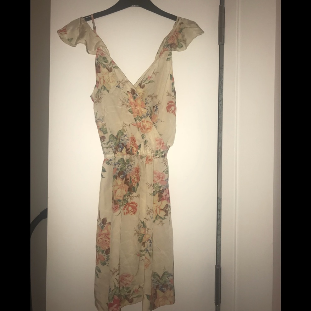 Silk joie dress